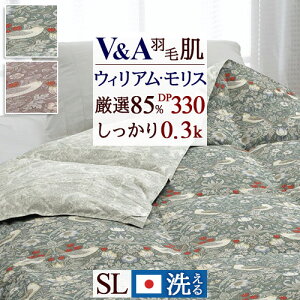 11/1聚11OFFN[|P10 Hє|zc VO _EPbg V&A EBAX D_ I_E85 0.3kg Hѕzc |zc VOTCY  ėp  { 