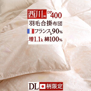 SiP5ő10OFFN[|[1616`8h]  Hэ|zc _u tHp HтӂƂ _uTCY Hэ|ӂƂ Hѕzc 100%n 1.1kg tXYzCg_E90% DP400 