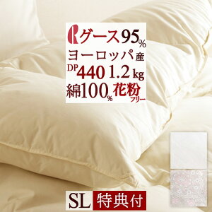 ڋʁ15OFFN[| y|zcJo[Ttz Hѕzc VO DP440 [bpY O[X_E95 ԕt[ HтӂƂ { }X HтӂƂ ~p VOO