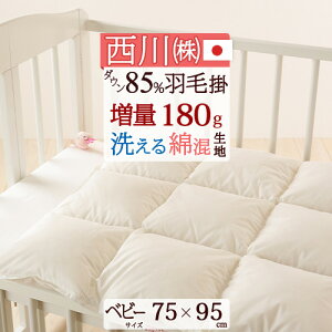 SiP5ő10OFFN[|[1516`8h] Hѕzc xr[  ~j |zc 75×95cm 􂦂 HтӂƂ zCg_E85% lߕ180g { Ԃ xr[ yʐn