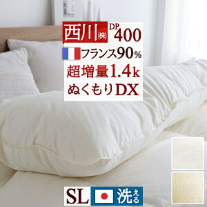 SiP5ő10OFFN[|[1616`8h] Hѕzc  VO tXY 1.4kg HтӂƂ zCg_E DP400 { R H Hъ|zc |zc |zc ӂƂ ԂƂ V