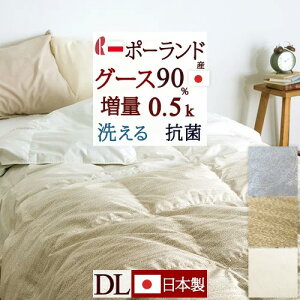 SiP5ő10OFFN[|[2616`18H] Hє|zc _u _EPbg O[X { Hѕzc ėp _uTCY HтӂƂ 􂦂 |[hYzCgO[X_E90w