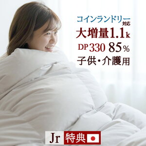 SiP5ő10OFFN[|[2216`8H] Hѕzc WjATCY 呝1.1kg IzCg_E85% y|zcJo[Ttz j[S[hx qǂ qp p DP330 RC