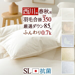 11/1聚11OFFN[| Hэ|zc  VO Hѕzc HтӂƂ Hэ|ӂƂ _E85% 0.7kg DP350 R { Hэ|zc Hъ|zc |zc ԂƂ VOOT