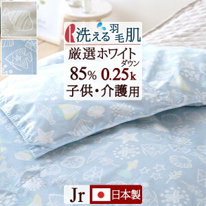 10/18聚11OFFN[| _EPbg |zc H WjA }X TCY qp HтӂƂ p 􂦂 { zCg_E85 0.25kg H ėp Hѕzc ӂ