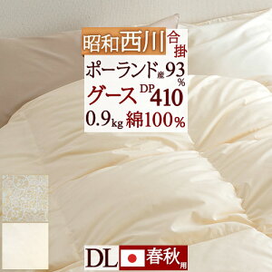 SiP5ő10OFFN[|[2816~8Hn  _u |zc | O[X |[hYzCgO[X_E93% HтӂƂ Hэ|ӂƂ 0.9kg  DP410 a { H