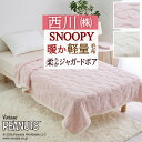 全品P5＆最大10％OFFクーポン★[16日16時～8h] スヌーピー 毛布 シングル 軽量 西川 ふっくら柔らか ボア調 ピーナッツ snoopy 洗える 軽い毛布 プレゼント ギフト お祝い 春秋冬 1枚もの