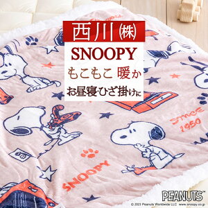 11/1聚11OFFN[| Xk[s[ Ђѕz lC snoopy  􂦂 LN^[ g uPbg Ђ G| V[v{A  EHbVu 샊rO Q 100×