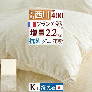 SiP5ő10OFFN[|[1516`8h] Hѕzc LOTCY LO  tXYzCg_E93% 2.2kg DP400 { HтӂƂ RCh[Ή 􂦂 R 