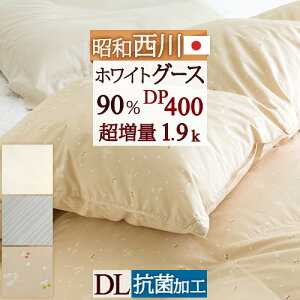 ڋʁ20OFFN[|  Hѕzc _u _uTCY O[X ƂĂgw1.9kgx zCgO[X_E90 DP400 HтӂƂ yʐn R { a Hъ|zc H