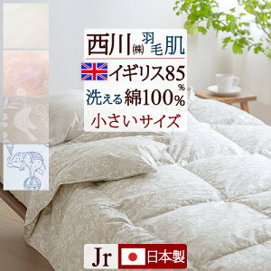 SiP5ő10OFFN[|[2616`18H] Hє|zc _EPbg WjA  􂦂 Hѕzc ėp HтӂƂ 135×185cm CMXYzCg_E85% ӂ0.25kg 100%n {