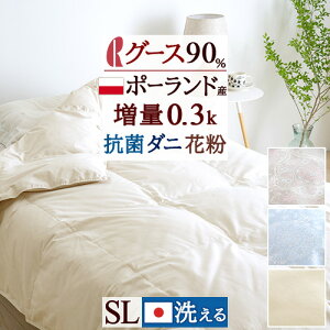 SiP5ő10OFFN[|[1616`8h] Hє|zc VO O[X90% _EPbg VOTCY ėp 􂦂 yʐn { Hѕzc |[hYzCgO[X_E90 0.