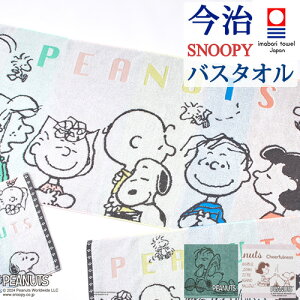 12/1聚11OFFN[| Xk[s[  oX^I  { 100 ӂ 炩 샊rO LN^[ snoopy ^I 60×120cm