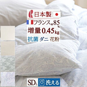 SiP5ő10OFFN[|[2616`18H] Hє|zc Z~_u _EPbg 􂦂 { Z~_uTCY 0.45kg tXY_E85% HтӂƂ Hѕzc ėp }X