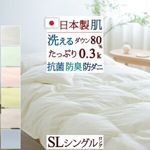 SiP5ő10OFFN[|[2616`18H] _EPbg |zc H VO 􂦂 { VOTCY zCg_E80 HтӂƂ 0.3kg R hL H  ėp Hѕzc 