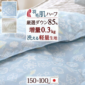 11/1聚11OFFN[| Hѕzc n[t _EPbg }X { |zc ėp HтӂƂ 􂦂zCg_E85  Hє|zc n[tTCYu150×100cmvЂ| 