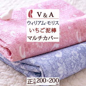 10/1聚11OFFN[| }`Jo[ `w200×200x 100 }X V&A EBAX xbhJo[ \t@Jo[ xbhXvbh t[NX EHbVu 􂦂 ې