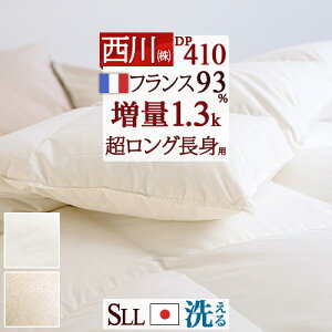 11/1聚11OFFN[| Hѕzc VO OTCY gp  tXY_E93% DP410 y|zcJo[Ttz HтӂƂ g1.3kg { 􂦂 RCh[ H