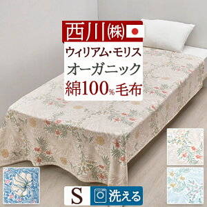 Ȗѕz VO { EBAX   100 I[KjbN ECAX uPbg XM[ VOTCY    RbgPbg uh