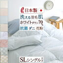 全品P5＆クーポン★マラソン[4日20時～28H] 羽毛肌掛け布団 シングル ダウンケット 洗える 日本製 ホワイトダウン70% 0.25kg 羽毛ふとん 羽毛布団 夏用 ロマンス小杉 羽毛肌布団 夏 肌ふとん シングルロングサイズ 薄手 薄い 軽量生地 抗菌 防臭 花粉 防ダニ