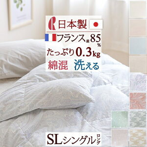 SiP5ő10OFFN[|[2616`18H] Hѕzc VO ėp _EPbg }X { |zc HтӂƂ 􂦂 tXY_E85 0.3kg ԕt[ RۖhL  