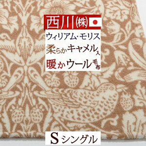 11/1聚11OFFN[|P5 L  E[ѕz VO  { ECAX D_ XM[ EBAX ۉ g z   Lѕz s