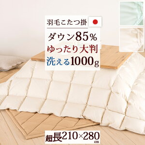 SiP5ő10OFFN[|[2216`8H] Hт|zc ` 210×280cm zCg_E85 RۖhL _jʉߖh~ ÓdC}H 1.0kg { |zc zc EHbV