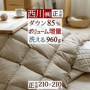 ~ ő10OFFN[|  Hт|zc ` 210×210cm 􂦂 zc zCg_E85 0.96kg R EHbVu |zc 唻TCY KpVTCY80