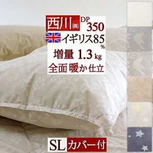 SiP5ő10OFFN[|[1516`8h]  Hѕzc VO 1.3kg _E 85 Sʑ HтӂƂ DP350 R { Hъ|zc HтӂƂ VOOTCY ~p g