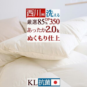 SiP5ő10OFFN[|[1516`8h] Hѕzc LO LOTCY  I_E85% 2.0kg DP350 RCh[Ή HтӂƂ { R Hъ|zc |zc LOOTC