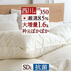 ~ ő10OFFN[| Hѕzc Z~_u  R w1.6kgx 쌵I_E85% Z~_uTCY ʂdDX HтӂƂ DP350 { Hъ|zc HтӂƂ Z~_