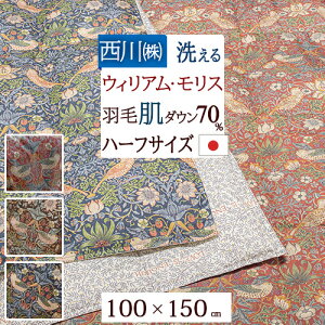 11/1聚11OFFN[|P5 ECAX Hє|zc n[t 150×100cm  ėp 􂦂 HтӂƂ D_ _E70% EBAX _EPbg |zc ӂƂ { 