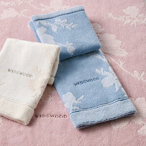 SiP5ő10OFFN[|[420`28H] EFbWEbh ^I ^I tFCX^I 34×75cm {  100 }OmA  ^I ԕ 킢  EGbWEbh WEDG