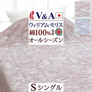 SiP5ő10OFFN[|[2216`8H] EBAX Ȗѕz VO { }X j[}C[ ѕz ECAX D_ pC 100 R[}  V&A I