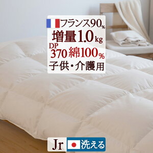 SiP5ő10OFFN[|[1516`8h] y|zcJo[TtzHъ|zc WjA { tXYzCg_E90 1.0kg 100  HтӂƂ Hѕzc |zc ~p 