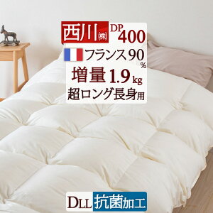 11/1聚11OFFN[| Hѕzc y|zcJo[Ttz_u  _uO gp 190×230cm DP400 HтӂƂ tXYzCg_E90 _uTCY { 呝1.9kg yʐ