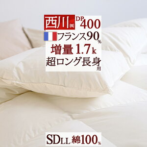 11/1聚11OFFN[| Hѕzc  Z~_u O gp230cmy|zcJo[Ttzg1.7kg Z~_uTCY gp 100n DP400 HтӂƂ tXYzCg_