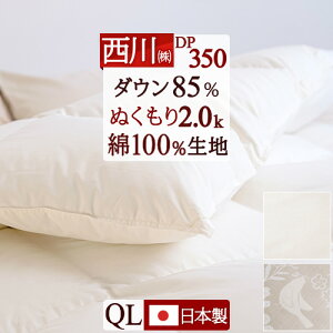 y5,000~OFFz11/2 Hѕzc NC[ NC[TCY   2.0kg 쌵I_E85% HтӂƂ ʂdDX DP350 350dp 100n { HтӂƂ NB[TCY NB[ 