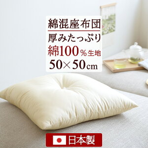 SSʁ10N[| yzcE{z{[ՂISnKIȍzc i50×50cmj100n nk[h