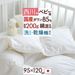 SiP5ő10OFFN[|[2616`18H]  xr[zc { zCg_E85% lߕ200g ӂg xr[ HтӂƂ Hѕzc EHbVu ^uΉ [k[hEx