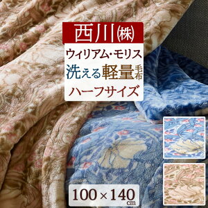 毛布 西川 ハーフケット」の人気商品一覧 | 安い商品を通販サイトから 