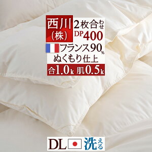 10/18聚11OFFN[| Hѕzc 2킹 _u  tXYzCg_E90 DP400 HтӂƂ |1.0kg Hє|zc0.5kg { 􂦂 RCh[ 2 񖇍킹
