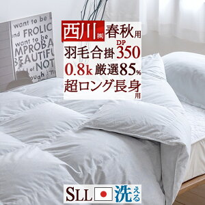 11/1聚11OFFN[| Hэ|zc |  VO OTCY gp y|zcJo[Ttz tHp VOTCY 230cm Hѕzc _E85% 0.8kg DP350 R 􂦂