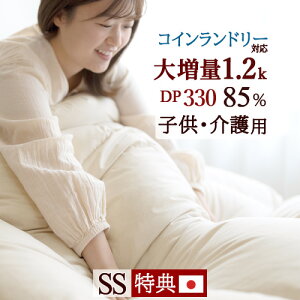 10/18聚11OFFN[| Hѕzc Z~VO 呝1.2kg IzCg_E85% y|zcJo[Ttz j[S[hx DP330 RCh[Ή HтӂƂ { ~p