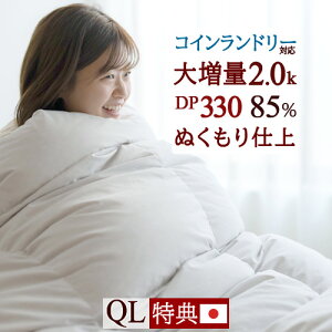 11/1聚11OFFN[| Hѕzc NB[ NC[TCY 呝 2.0kg IzCg_E85% y|zcJo[Ttz j[S[hx DP330 RCh[Ή HтӂƂ 