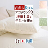 2点以上で10％引クーポン★[14日20時～] 羽毛布団 西川 ジュニア 子ども 子供用 小さいサイズ 抗菌 羽毛…