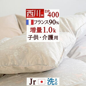 12/1聚11OFFN[|  Hѕzc WjA qǂ qp 1.0kg DP400 y|zcJo[Ttz HтӂƂ tXY zCg_E90% 􂦂 RCh[Ή { H