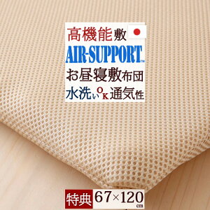 SiP5ő10OFFN[|[216~8H] [v[gt]yQzcE~zcE{zۈ牀Ect̂QɁIV[Ő􂦂āAɊIAIR SUPPORTgpI􂦂ꗧ̂