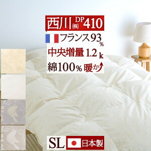 SiP5ő10OFFN[|[1516`8h] Hѕzc VO y|zcJo[Ttz  1.2kg VOTCY DP410 tXY_E93% HтӂƂ 100% ܌܃t