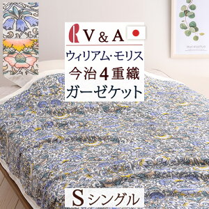 12/1聚11OFFN[| K[[Pbg VO {  4dK[[ }X VA EBAX Lodden Ef ECAX ^IPbg  100%  VOTC